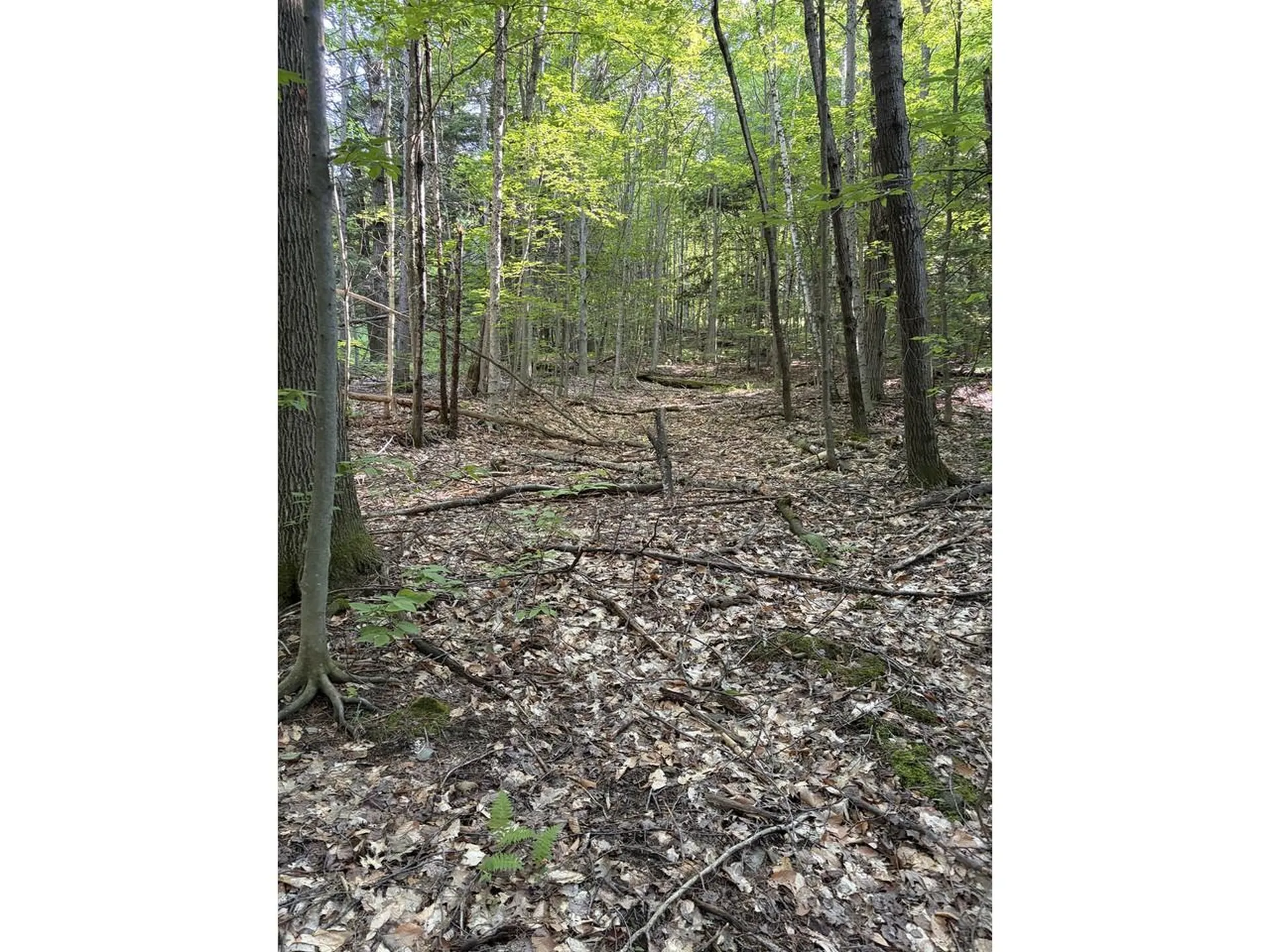 0 Old Carriage Road Fayston VT 05673