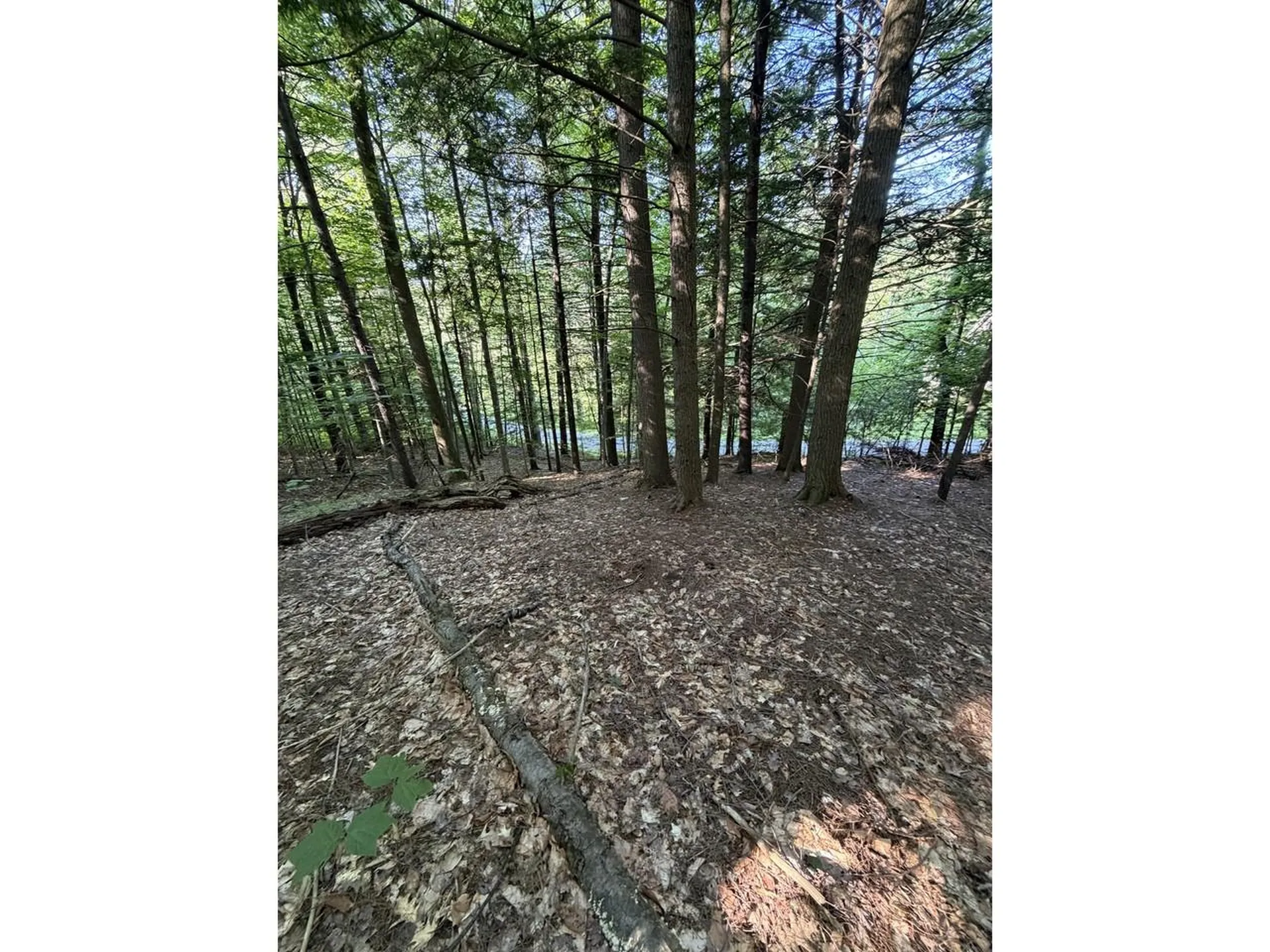 0 Old Carriage Road Fayston VT 05673