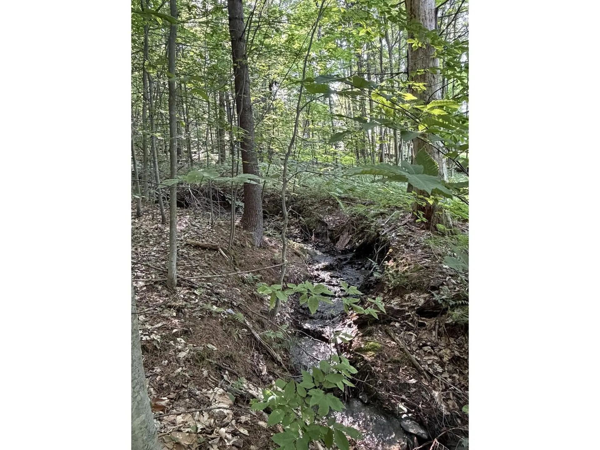 0 Old Carriage Road Fayston VT 05673