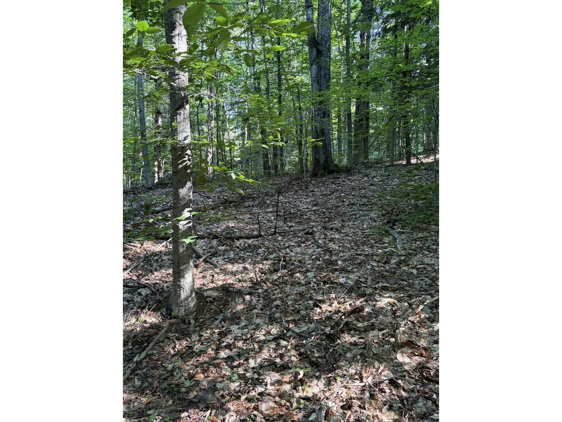 0 Old Carriage Road Fayston VT 05673