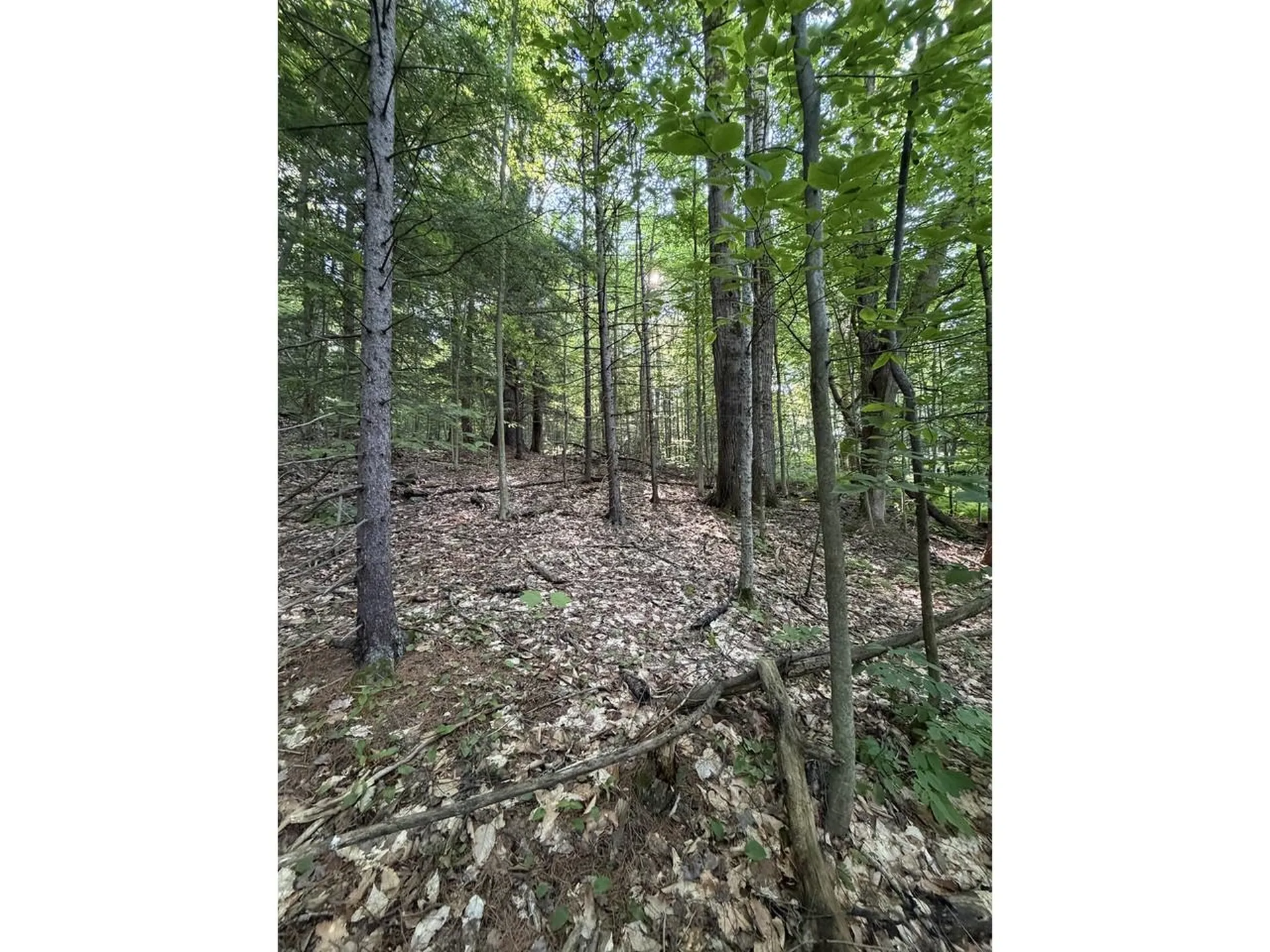 0 Old Carriage Road Fayston VT 05673