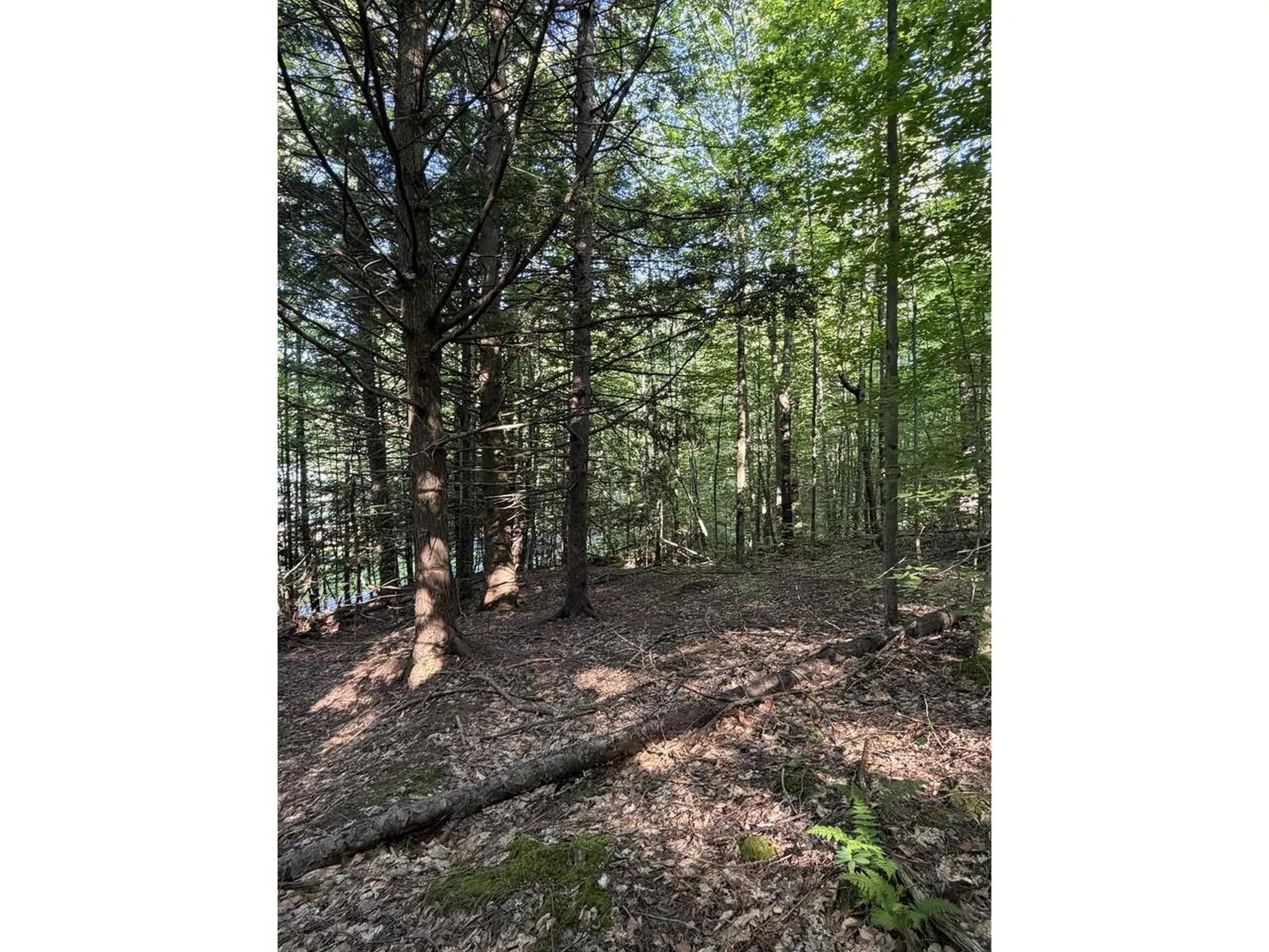 0 Old Carriage Road Fayston VT 05673