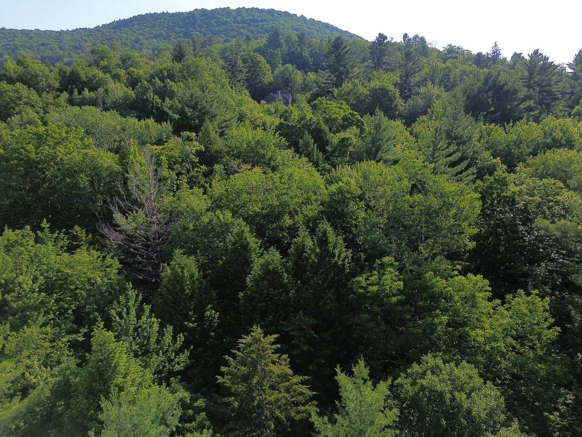 0 Old Carriage Road Fayston VT 05673