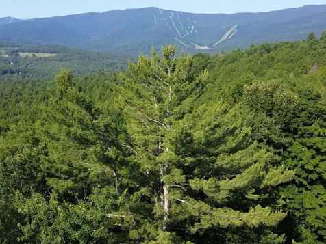 0 Old Carriage Road Fayston VT 05673