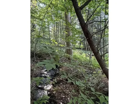 0 Old Carriage Road Fayston VT 05673