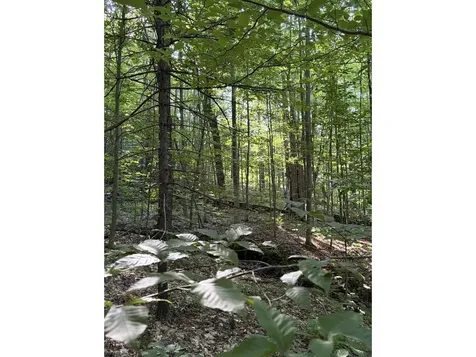 0 Old Carriage Road Fayston VT 05673