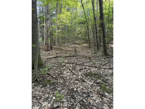0 Old Carriage Road Fayston VT 05673
