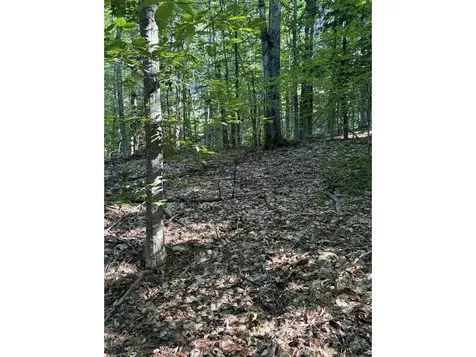 0 Old Carriage Road Fayston VT 05673