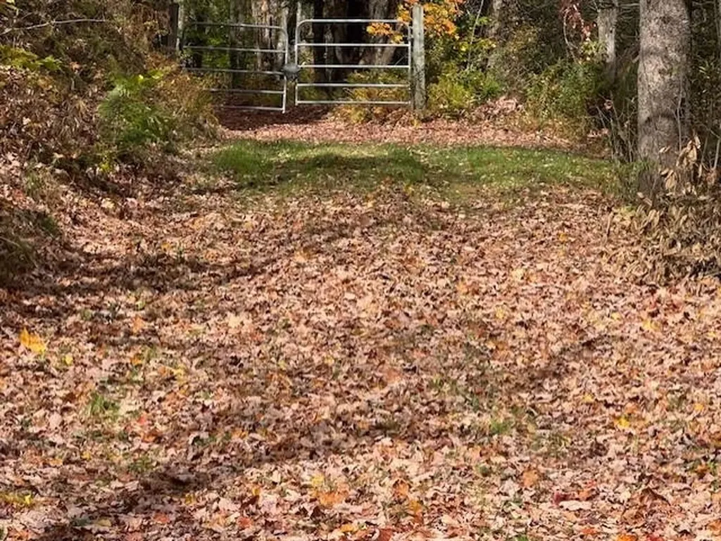 3433 West Hill Road Montgomery VT 05470