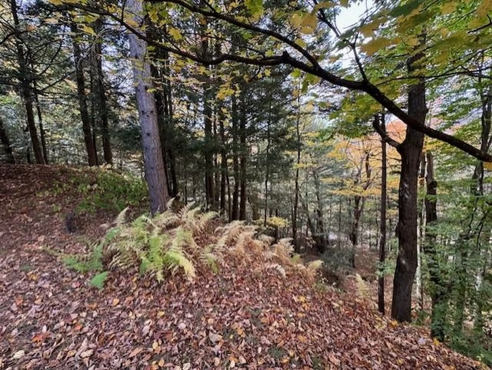 3433 West Hill Road Montgomery VT 05470