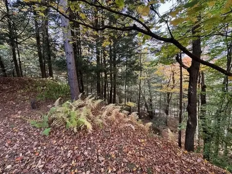 3433 West Hill Road Montgomery VT 05470