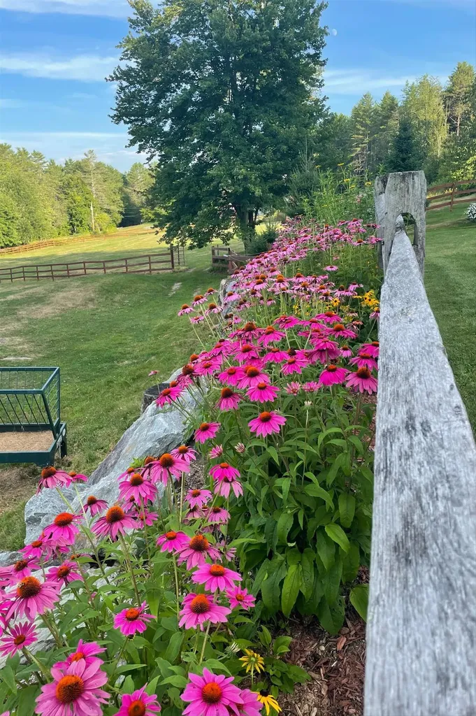2141 Twenty Mile Stream Road Cavendish VT 05153
