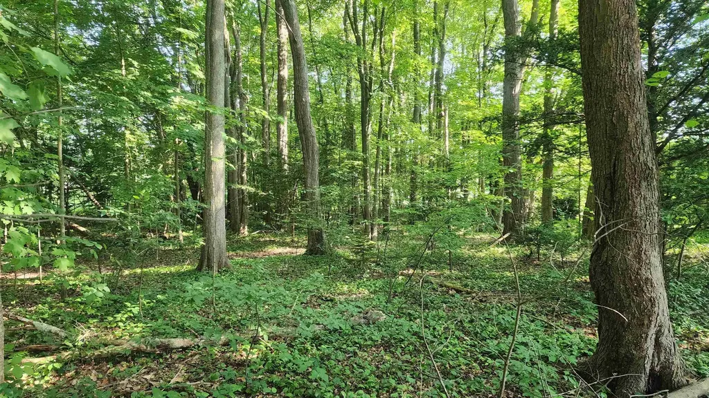 Towle Avenue Hampton NH 03842