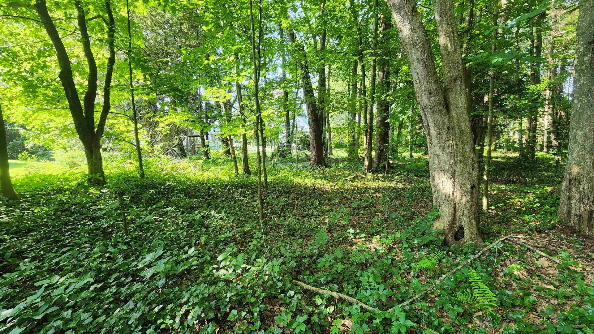 Towle Avenue Hampton NH 03842