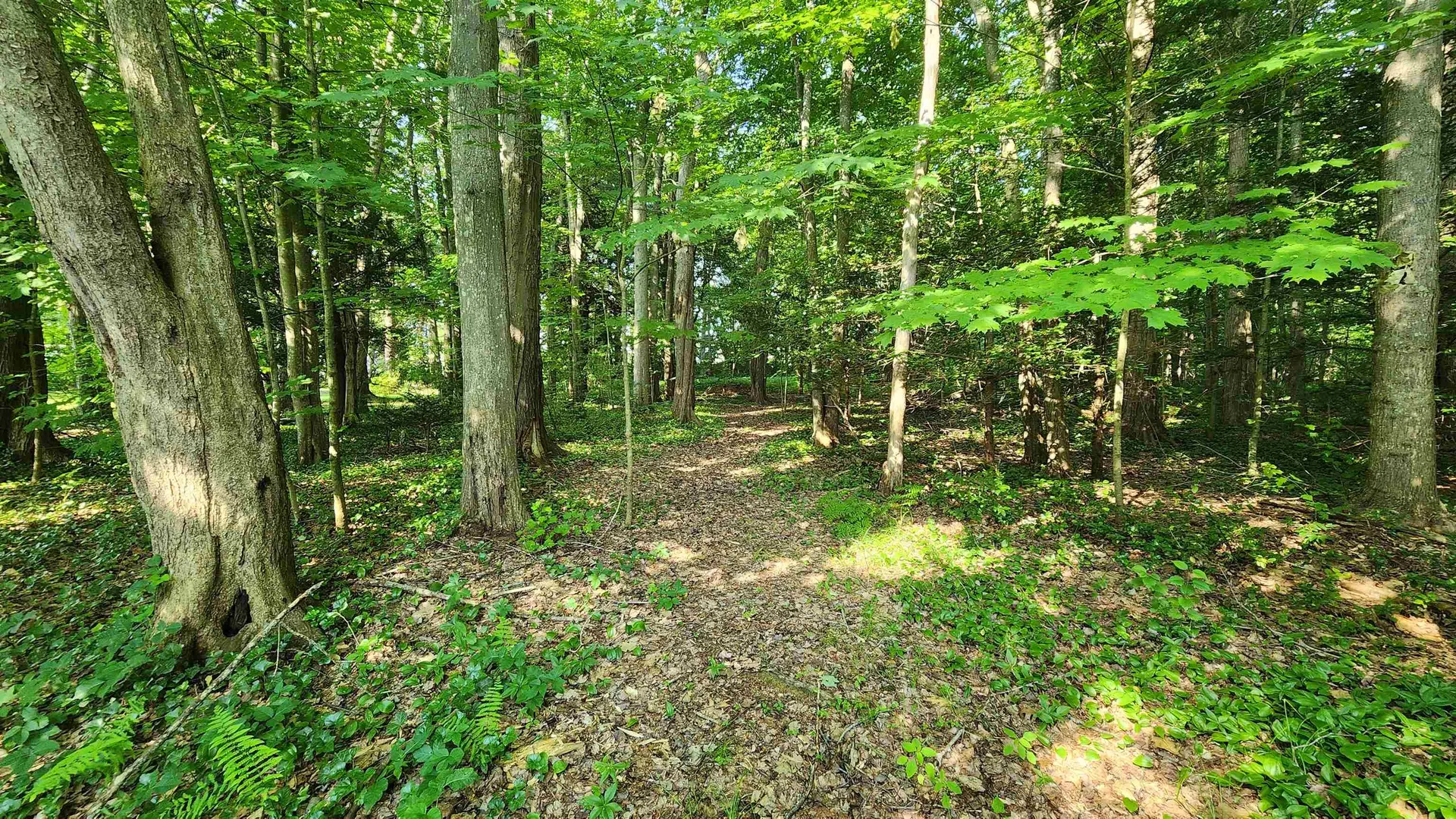 Towle Avenue Hampton NH 03842