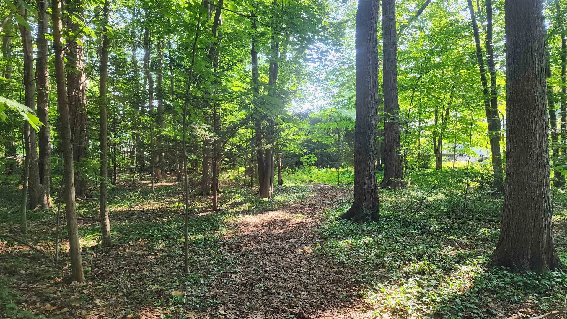 Towle Avenue Hampton NH 03842