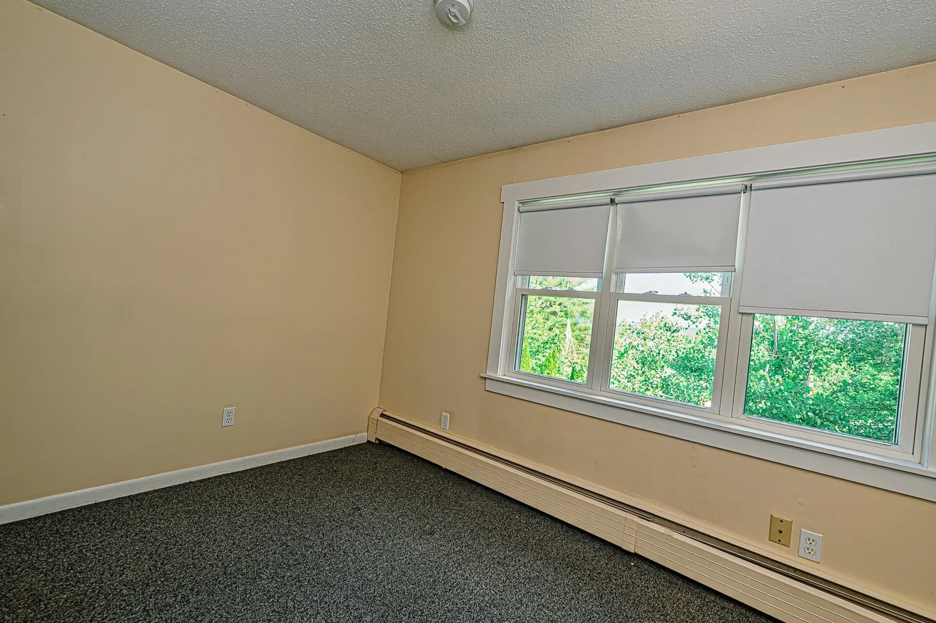 81 Seamans Road New London NH 03257