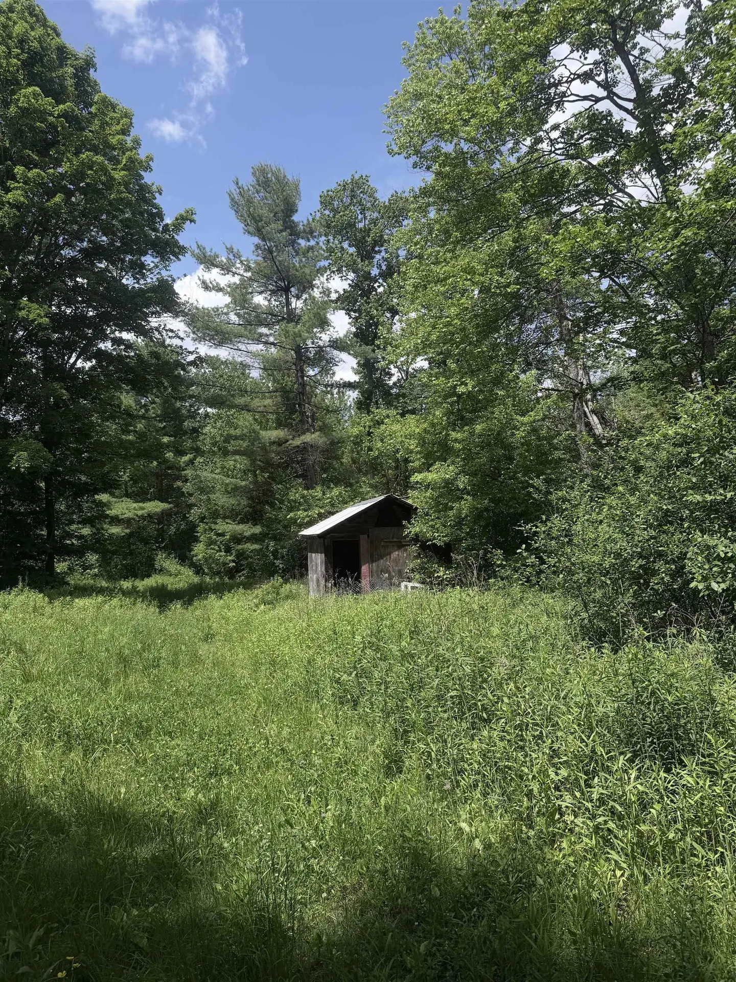 Whitcher Road Newport NH 03773