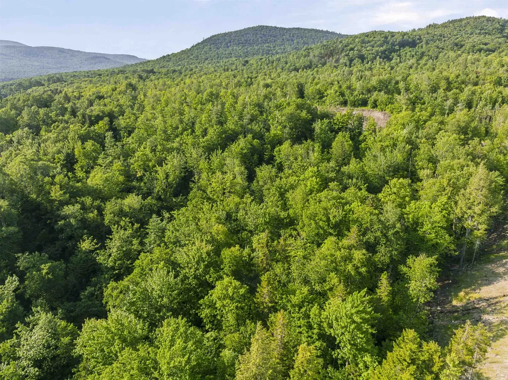 Lot 4 Ginnie Lane Errol NH 03579