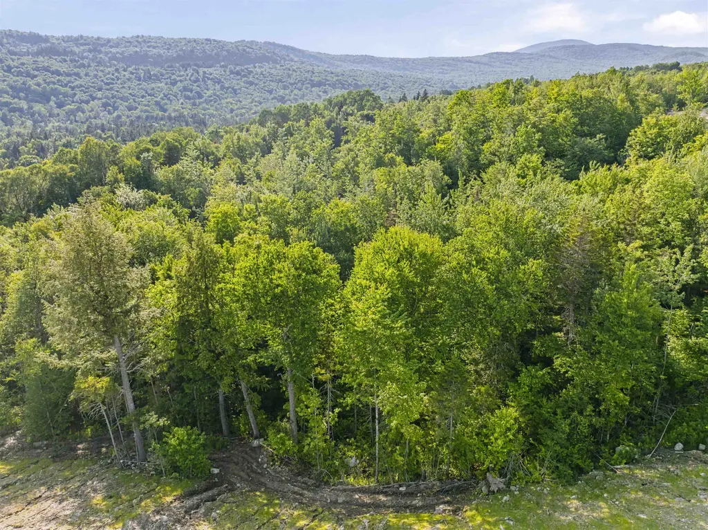 Lot 4 Ginnie Lane Errol NH 03579