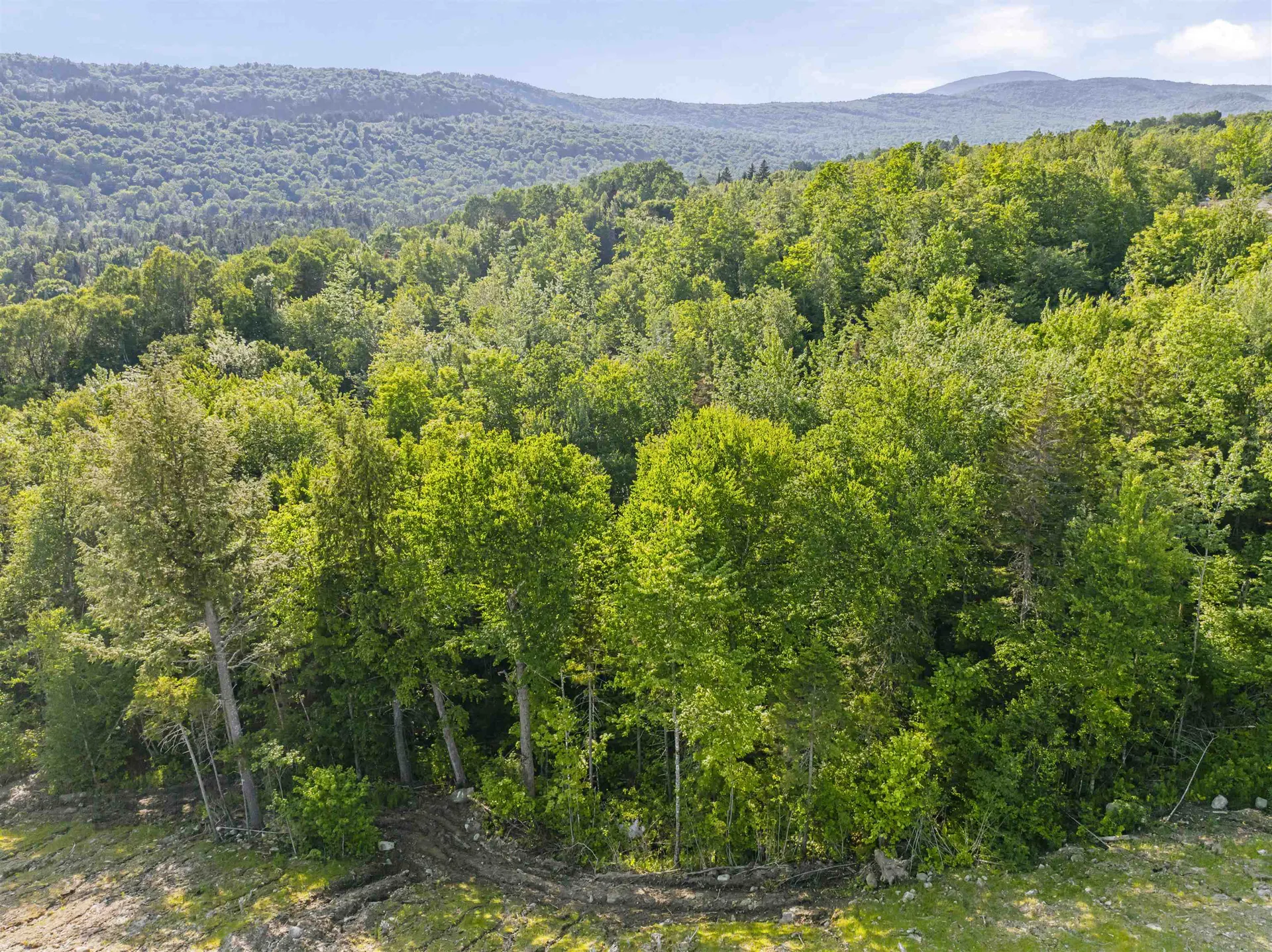 Lot 4 Ginnie Lane Errol NH 03579