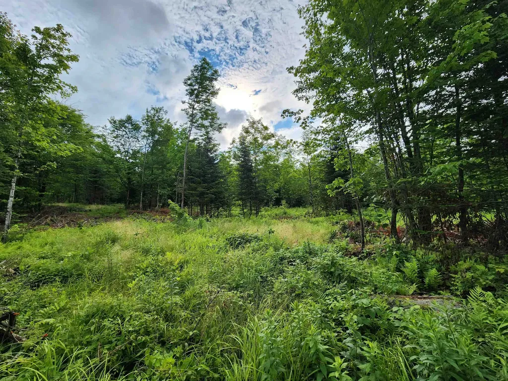Lot 15 Ginnie Lane Errol NH 03579