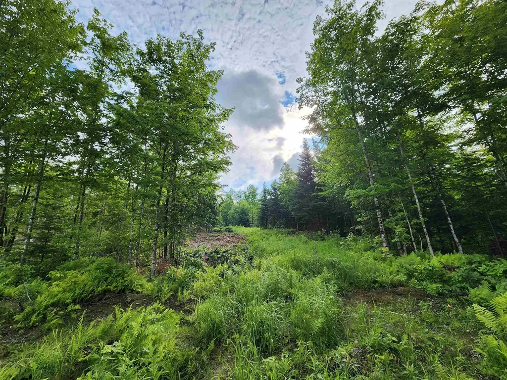 Lot 15 Ginnie Lane Errol NH 03579
