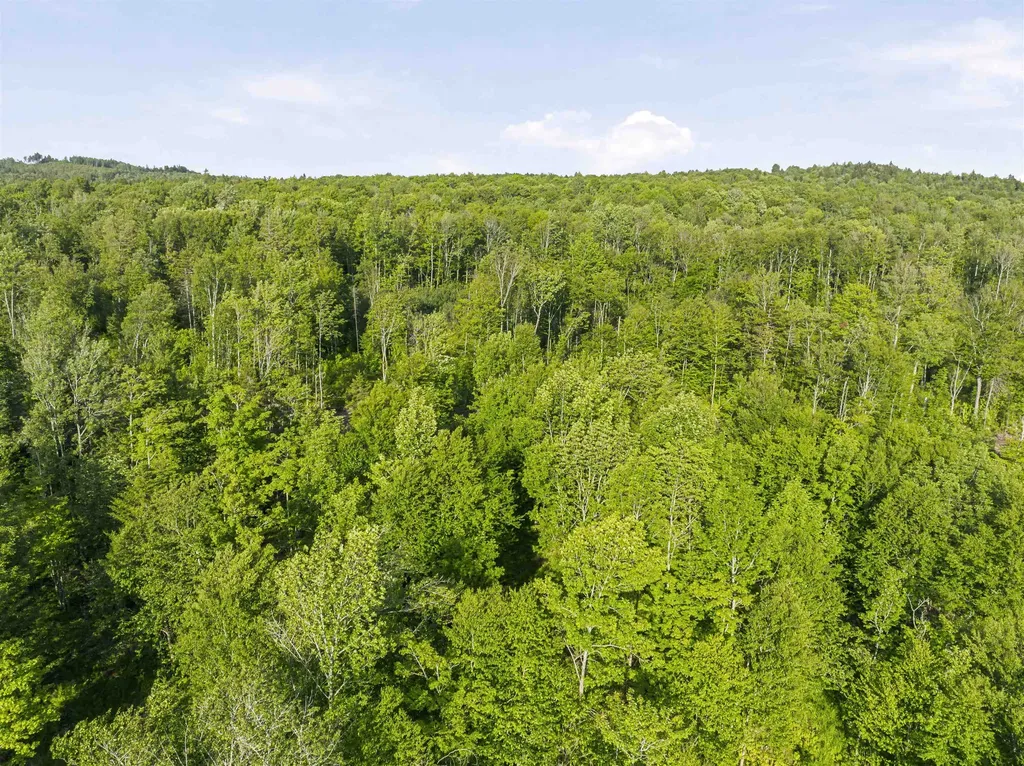 Lot 15 Ginnie Lane Errol NH 03579