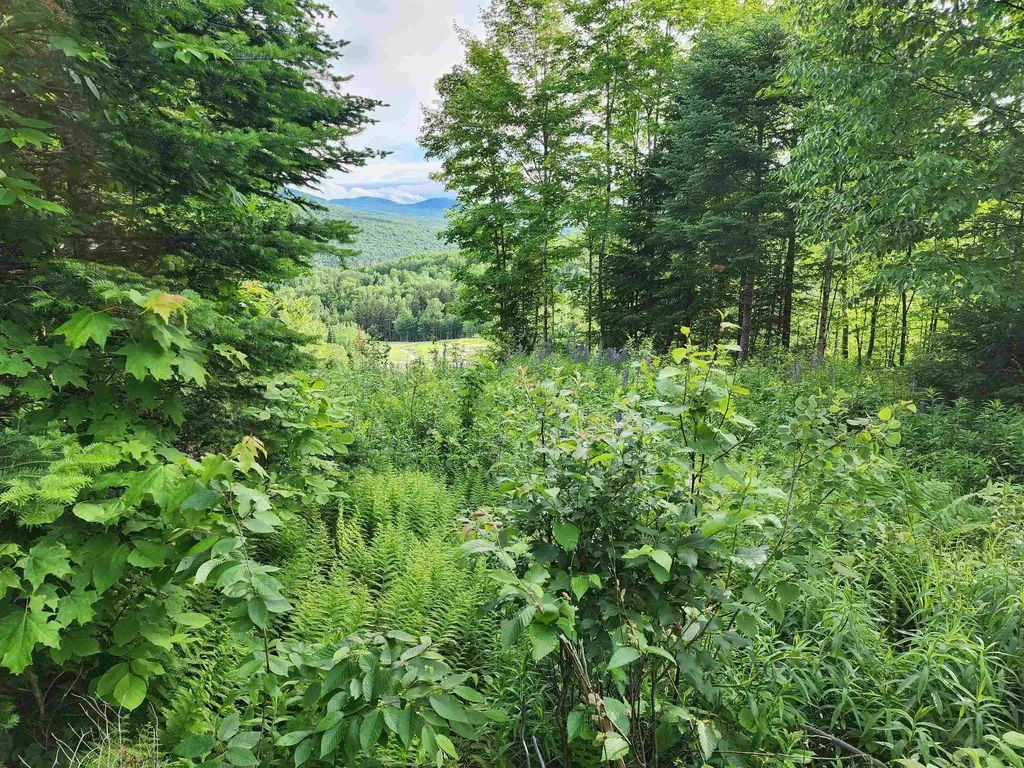 Lot 15 Ginnie Lane Errol NH 03579