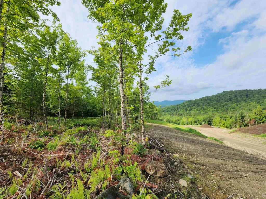 Lot 15 Ginnie Lane Errol NH 03579