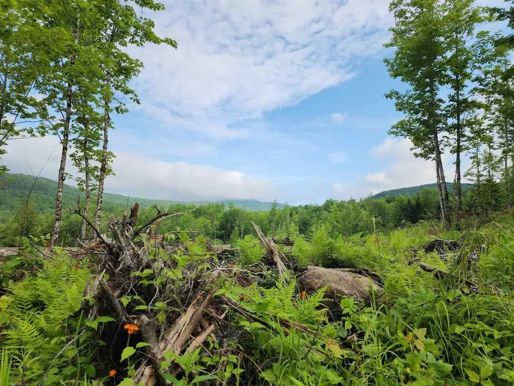 Lot 15 Ginnie Lane Errol NH 03579