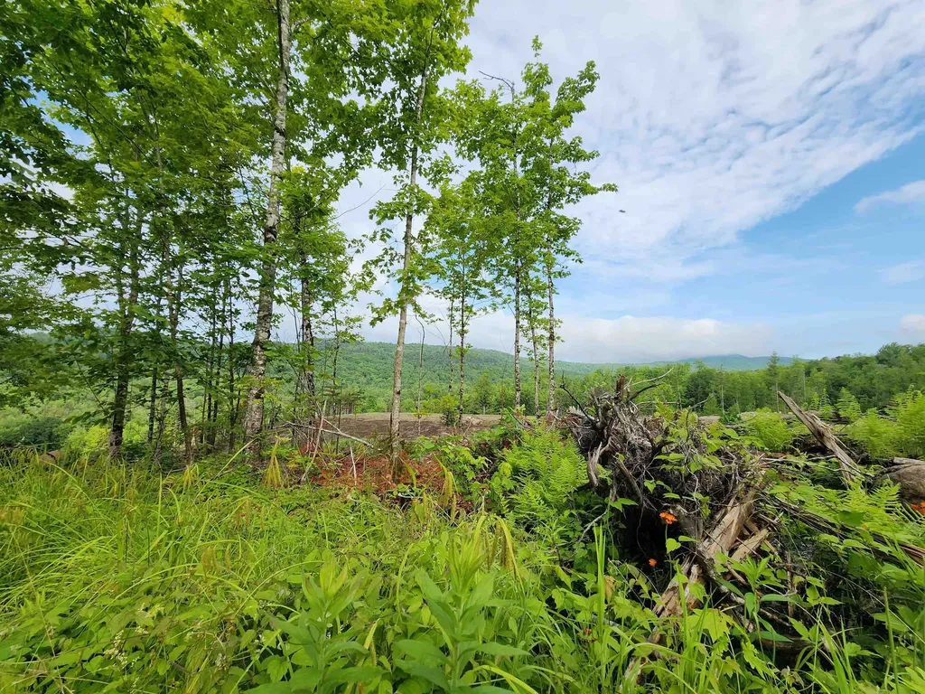 Lot 15 Ginnie Lane Errol NH 03579