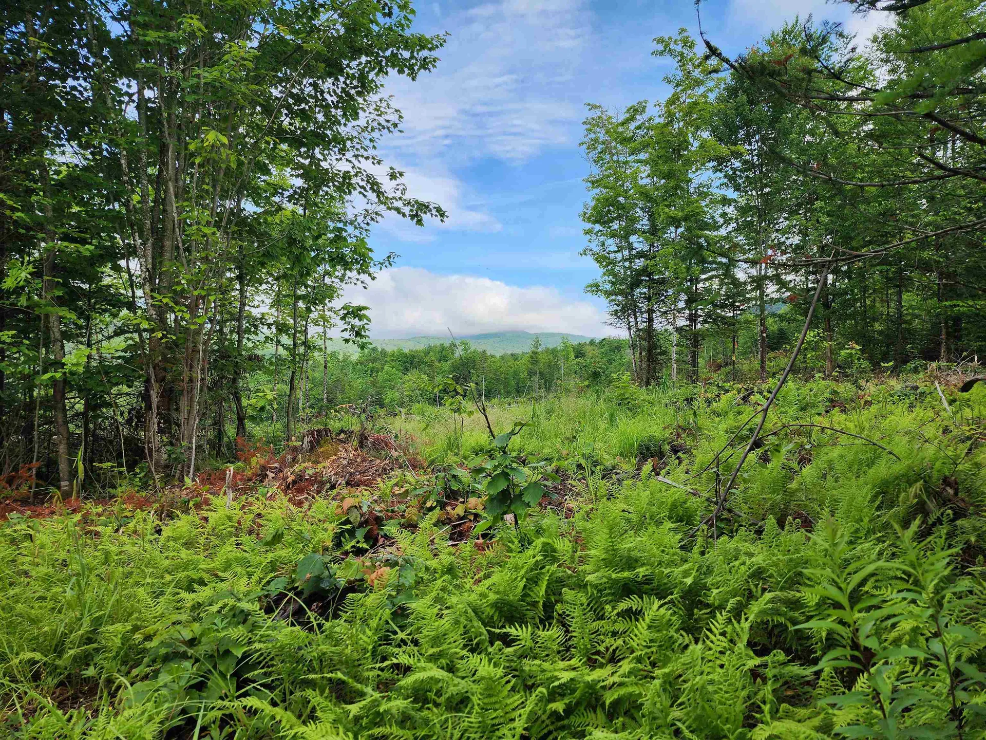 Lot 15 Ginnie Lane Errol NH 03579