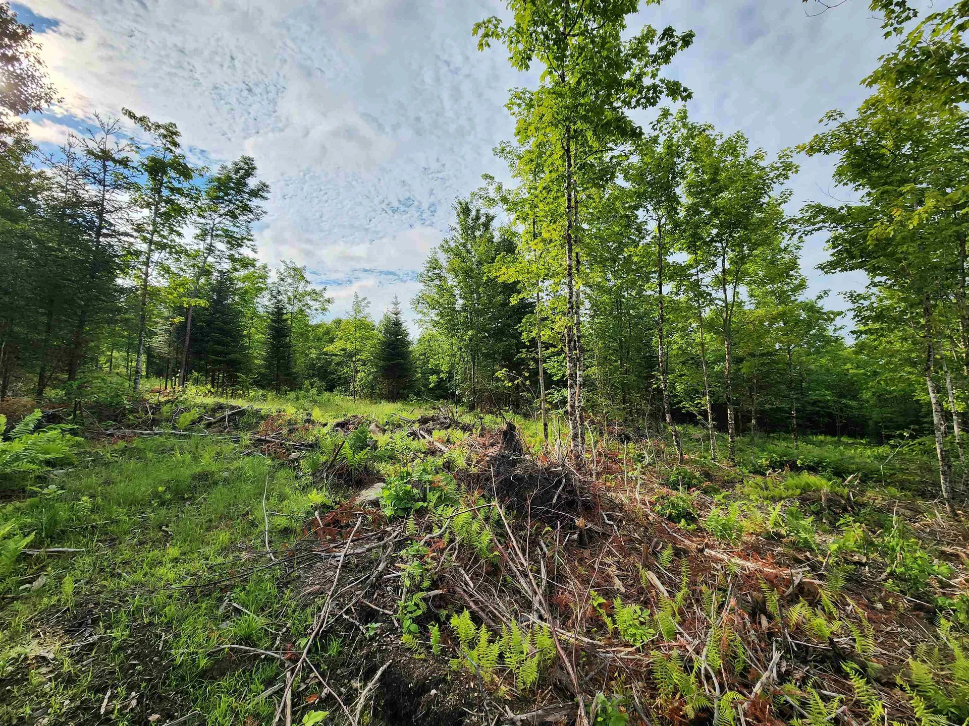 Lot 15 Ginnie Lane Errol NH 03579