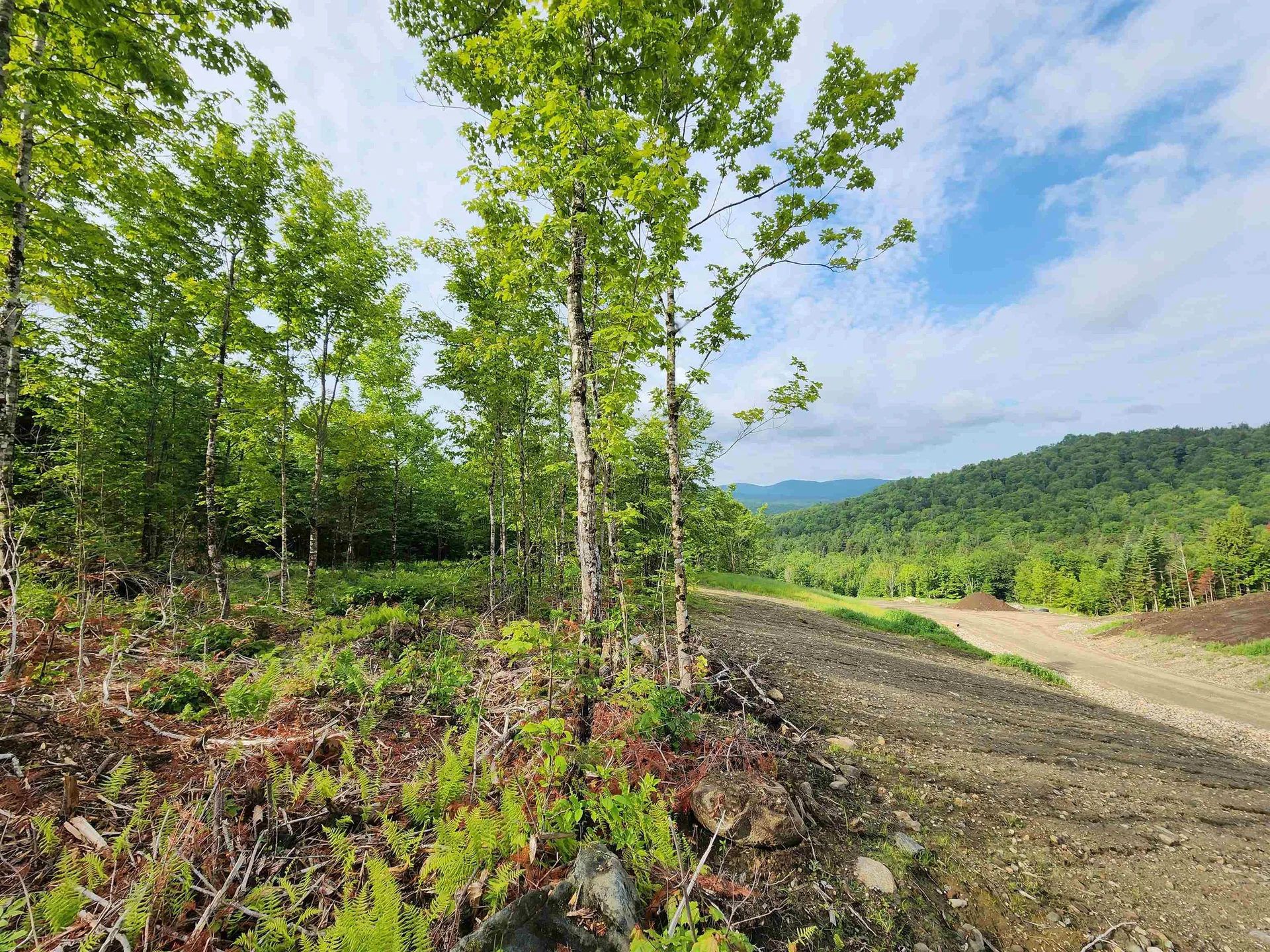 Lot 15 Ginnie Lane Errol NH 03579