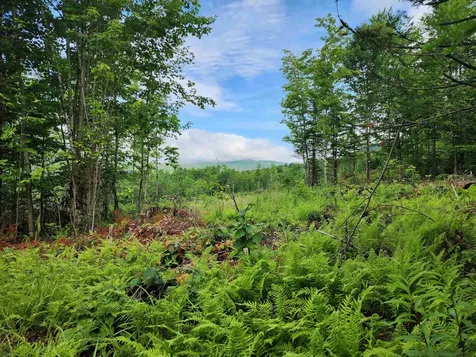 Lot 15 Ginnie Lane Errol NH 03579