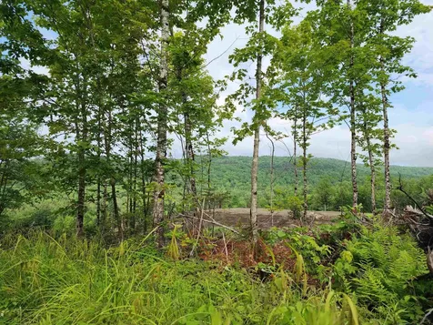 Lot 15 Ginnie Lane Errol NH 03579