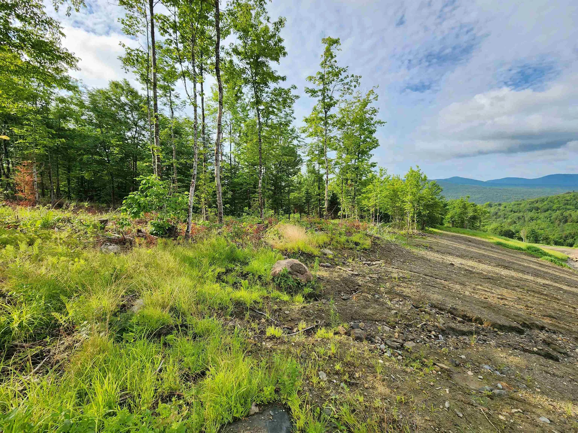 Lot 14 Ginnie Lane Errol NH 03579
