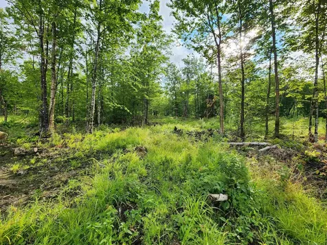 Lot 14 Ginnie Lane Errol NH 03579