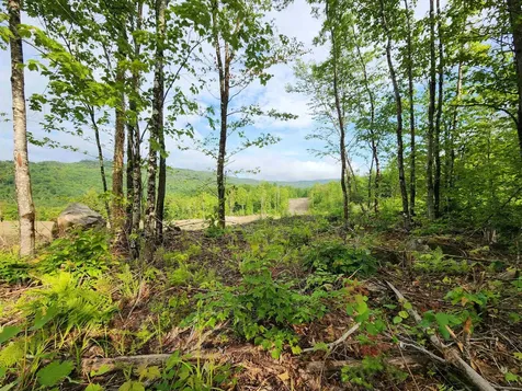 Lot 14 Ginnie Lane Errol NH 03579
