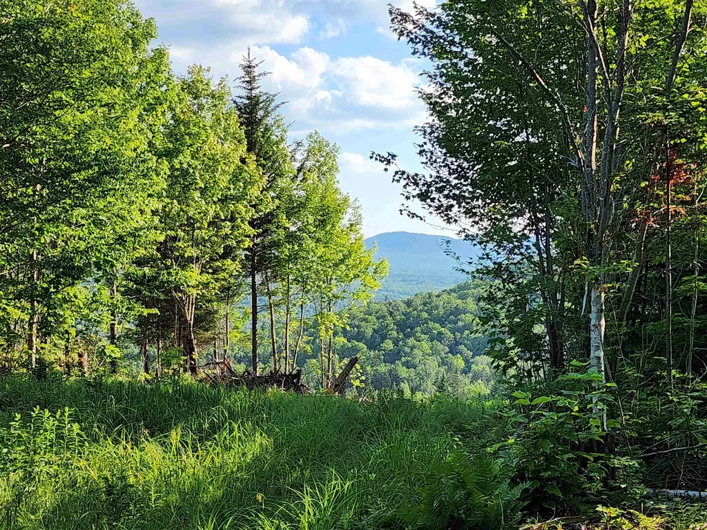 Lot 13 Ginnie Lane Errol NH 03579