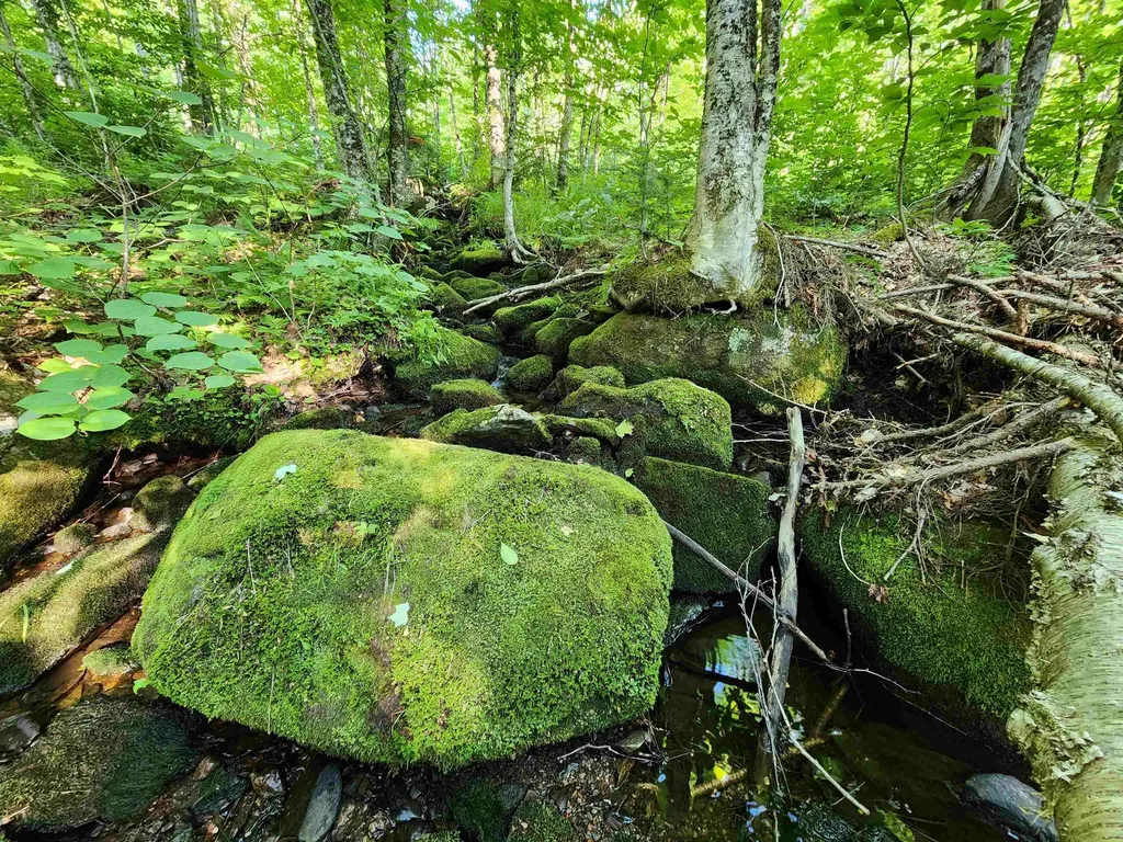 Lot 13 Ginnie Lane Errol NH 03579