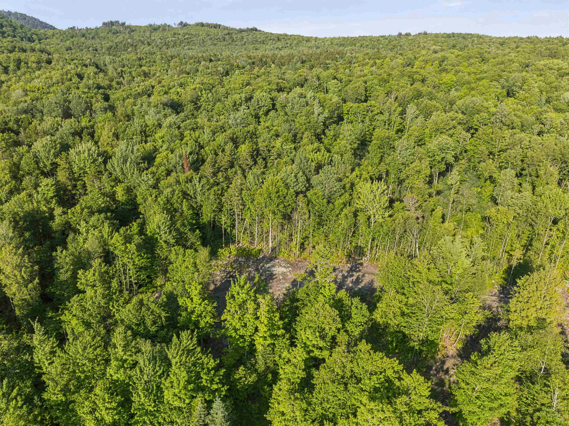 Lot 13 Ginnie Lane Errol NH 03579
