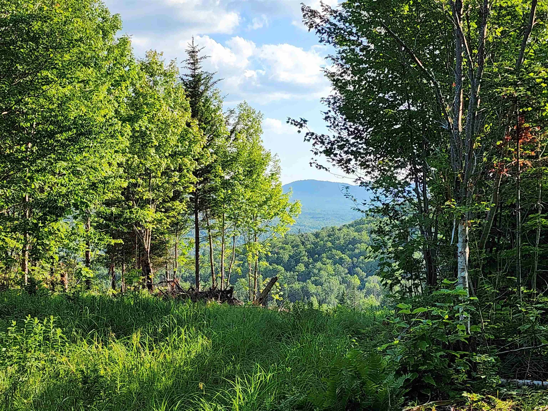 Lot 13 Ginnie Lane Errol NH 03579
