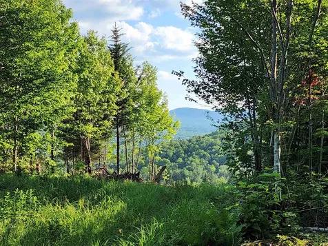 Lot 13 Ginnie Lane Errol NH 03579