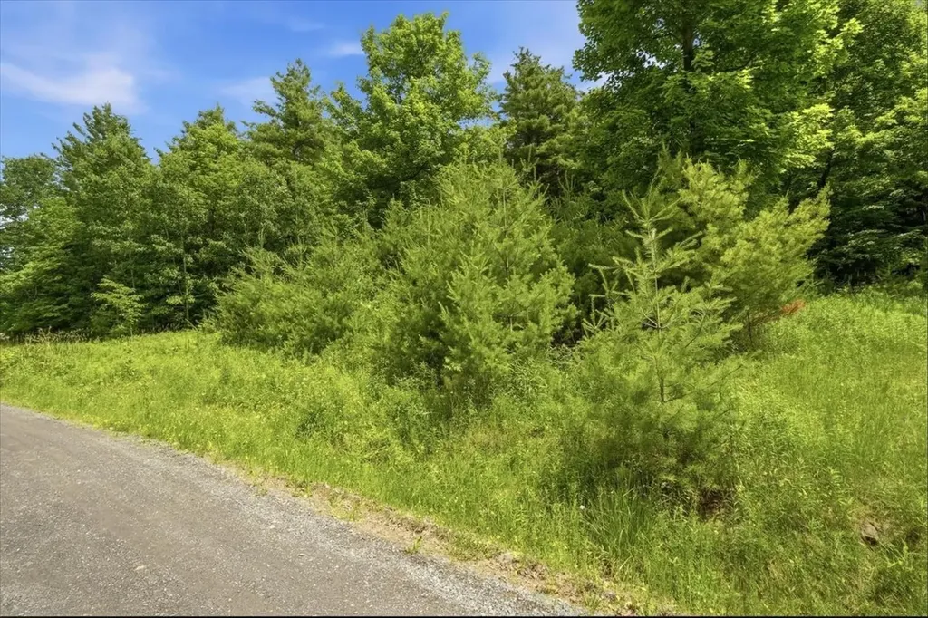 1870 Shacksboro Road Shoreham VT 05770