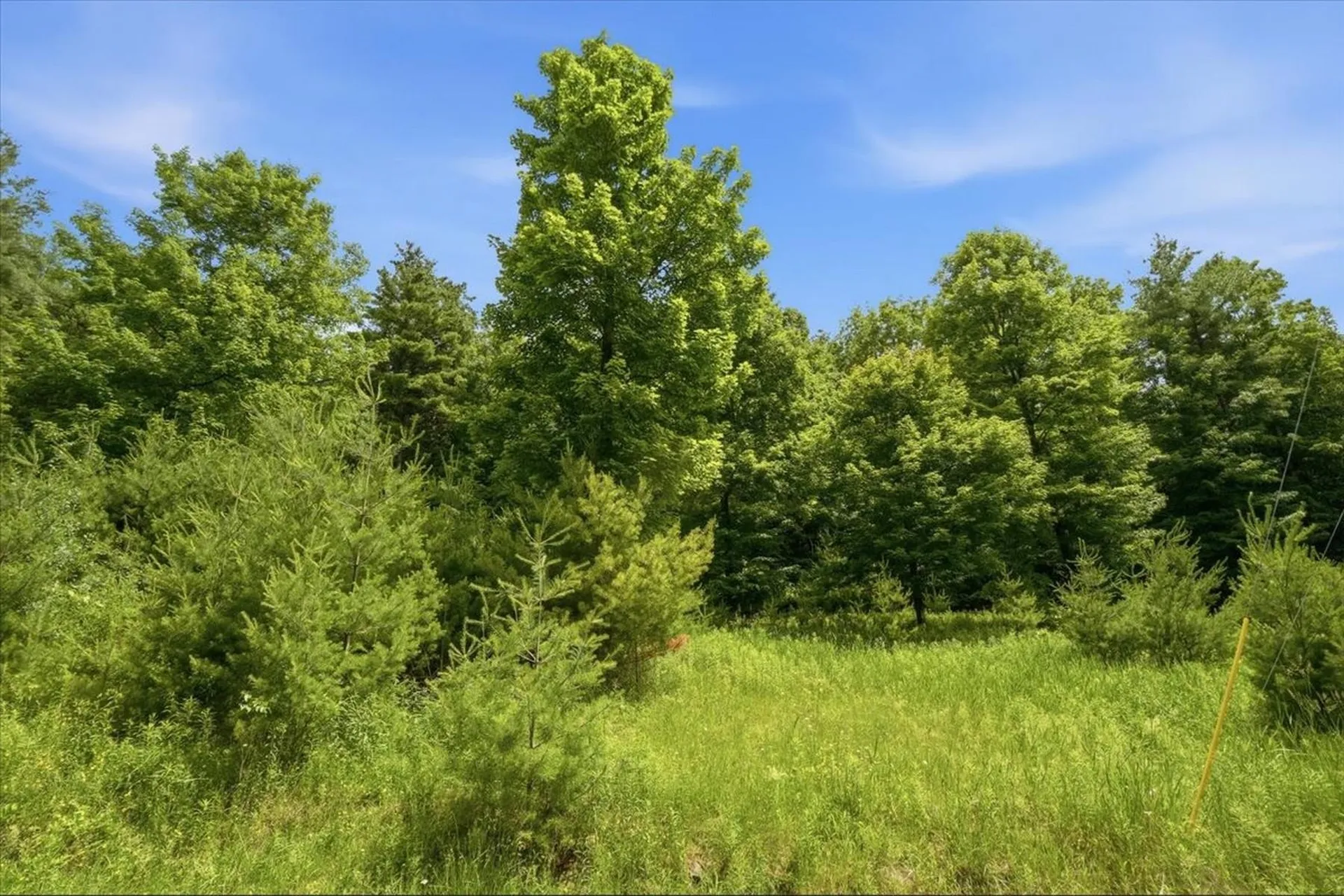 1870 Shacksboro Road Shoreham VT 05770