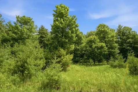 1870 Shacksboro Road Shoreham VT 05770