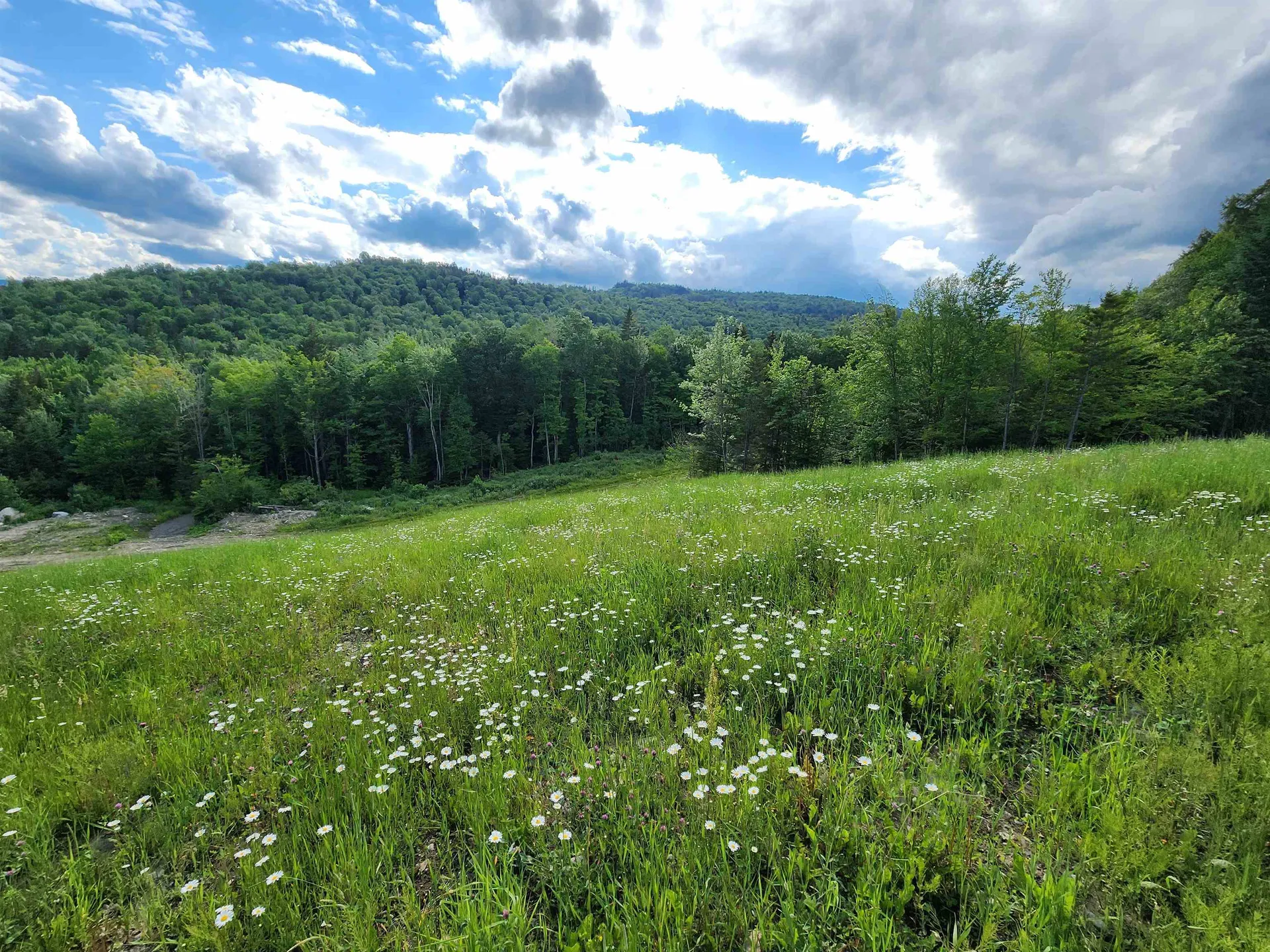 Lot 2 Ginnie Lane Errol NH 03579