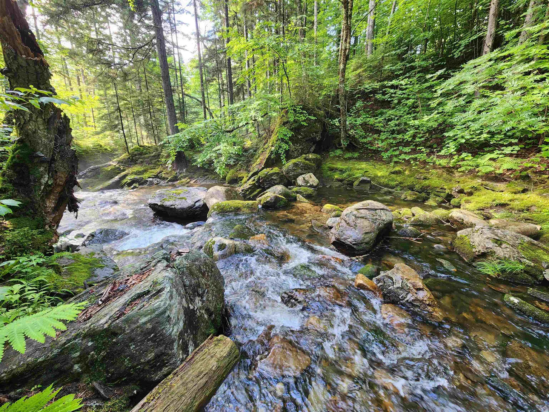 Lot 2 Ginnie Lane Errol NH 03579